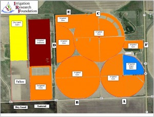 2015 IRF - SMS - PLANTING DEFINED